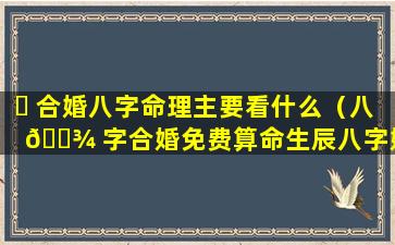 ☘ 合婚八字命理主要看什么（八 🌾 字合婚免费算命生辰八字婚姻）